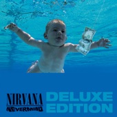 Nirvana - Something In the Way