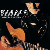 Willie Nelson - Gravedigger(Album Version)