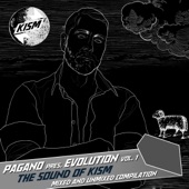 Pagano presents Evolution Vol. 1 (Continuous DJ Mix) artwork