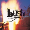 Bush - Swallowed