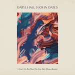 I Can't Go for That (No Can Do) by Daryl Hall & John Oates