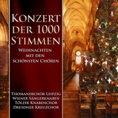 Vom Himmel hoch, MMW A 10 "Weihnachtskantate": I. Chorus. "Vom Himmel hoch, da komm ich her" artwork