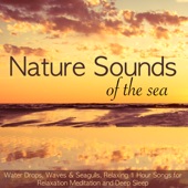 Nature Sounds of the Sea – Water Drops, Waves & Seagulls, Relaxing 1 Hour Songs for Relaxation Meditation and Deep Sleep artwork