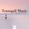 Easy Sleep Music - Spa Music Dreams lyrics