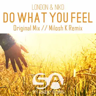 lataa albumi London & Niko - Do What You Feel