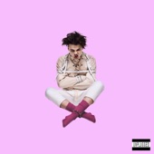 YUNGBLUD (Unplugged) artwork