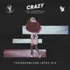 Stream & download Crazy (Tomorrowland Intro Mix) - Single