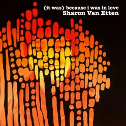 (It Was) Because I Was In Love - Sharon Van Etten