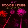 #35 Tropical House – House Hot Party Songs