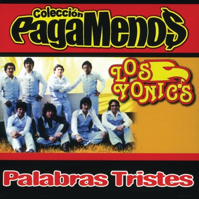 Palabras Tristes - Los Yonic's