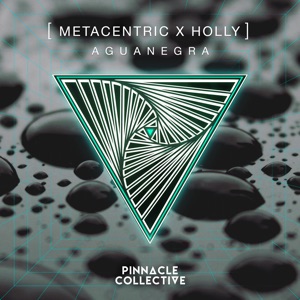 Aguanegra - Single