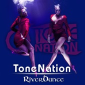 Riverdance (Radio Edit) artwork