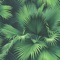 Without Music - Reefan lyrics