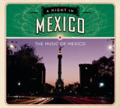 A Night In Mexico, 2008