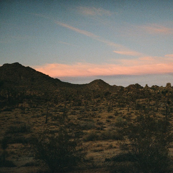 Cover artwork for Tallahassee
