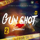 Gun Shot artwork