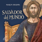 Rostro Santo de Cristo artwork