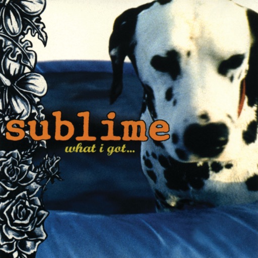 Art for What I Got (Kahne Radio Edit) by Sublime