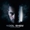 J'oublierai (feat. Sonia Nesrine) - Kool Shen lyrics