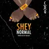 Shey Normal - Single album lyrics, reviews, download