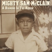 Mighty Sam McClain - When the Hurt Is Over