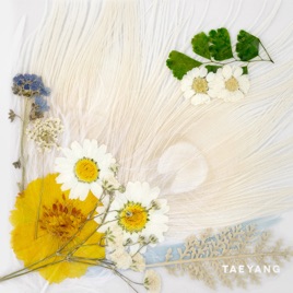 Image of wedding dress taeyang itunes