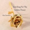The SP Files - Alan Hamilton lyrics