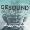 Orchester Wiener Akademie & Martin Haselbock - Piano Concerto in D Major, Op. 61a: I. Allegro ma non troppo