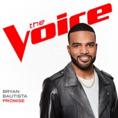 Promise (The Voice Performance) artwork