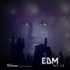 EDM, Vol. 14