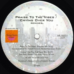Mr. Fingers - Praise to the Vibes