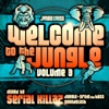 Welcome to the Jungle, Vol. 3: The Ultimate Jungle Cakes Drum & Bass Compilation, 2015