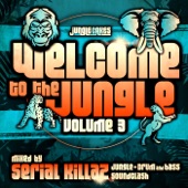 Welcome to the Jungle, Vol. 3: The Ultimate Jungle Cakes Drum & Bass Compilation artwork