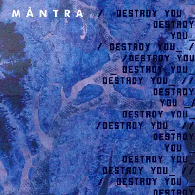 Destroy You - Single - Mantra