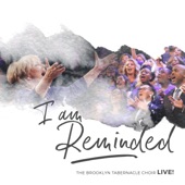 I Am Reminded (Live) artwork