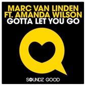 Gotta Let You Go (feat. Amanda Wilson) [Jason Mill Sunset Mix] artwork