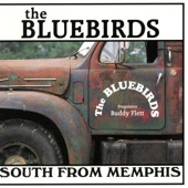 South From Memphis artwork
