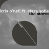 The Storm (feat. Clara Sofie) - Single