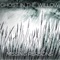 Hello, Duck - Ghost in the Willow lyrics