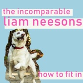 The Incomparable Liam Neesons - I Hate Everyone