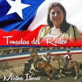 Un Rodeo a la Chilena artwork