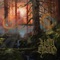 Aurora - Holy Grove lyrics
