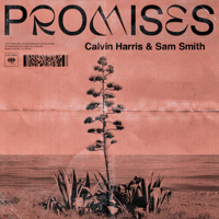 Calvin Harris, Sam Smith - Promises artwork