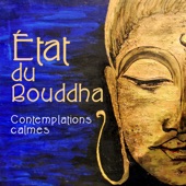 État du Bouddha cover