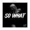 So What (feat. Rockie Fresh) [Mari Ferrari Remix] - Sam Bruno lyrics