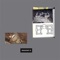 Eine Gerade - Friday Dunard lyrics