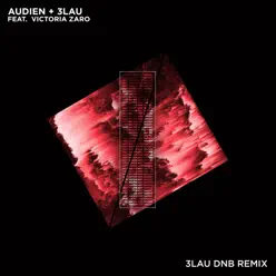 Hot Water (feat. Victoria Zaro) [3LAU DNB Remix] - Single - Audien