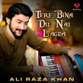 Tere Bina Dil Nai Lagda artwork