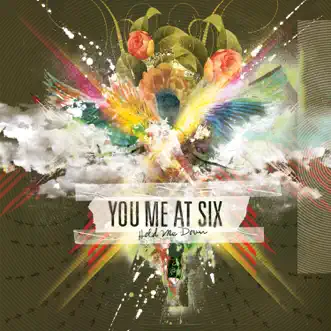 Fireworks by You Me At Six song reviws