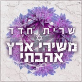 משירי ארץ אהבתי artwork